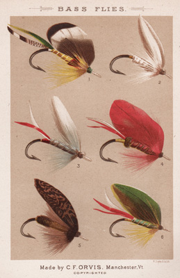 ANTIQUE PRINT OF FISHING FLIES FROM 1885